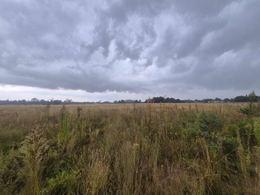 0 Bedroom Property for Sale in Vaalpark Free State